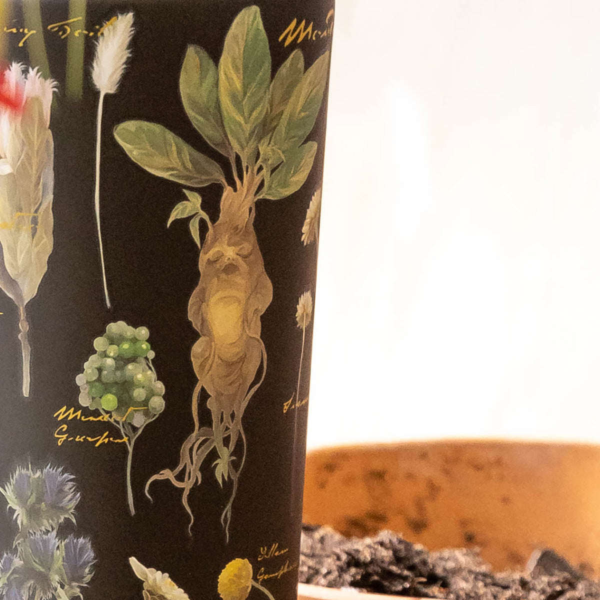 harry-potter-cold-cup-d2 Herbology-3.jpg
